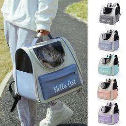 Sac chat portable portable support de porte-avions portant un sac à dos pour les chats voyage en plein air de petits chiens transparents