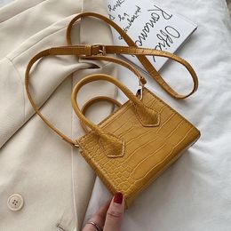 Sac Mini Tote Stone Modèle Pu Leather Femelle Crossbody Bodage Designer Hands Sacs For Women 2024Summer Bolsos Sac A Main