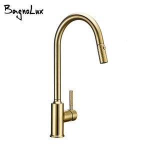 Bagnolux Brossed Gold Brass Kitchen Robinet Premium GOLOSKECK SORT OUT CUITCHE FAUCET SIVER BAPPEUR Tap en laiton solide Construction 240508