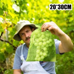 Zakken 50 STUKS Druiven Tuin Mesh Zakken Groente Fruit Bescherming Netzakken Ongediertebestrijding AntiBird Mesh Zak Trekkoord Plant Grow Bags