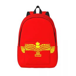 Sacs Aramean Suryoyo Logo sac à dos pour ordinateur portable femmes hommes sac à livres décontracté pour les étudiants du collège sac de drapeau syriaque Assyrie