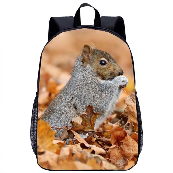 Sacs Drôle écureuil sac à dos enfants sac d'école mignon Animal imprimé adolescent sac à dos décontracté sac pour ordinateur portable femme hommes voyage sac à dos