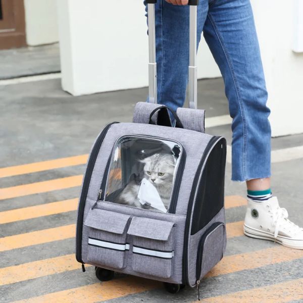 Sacs de haute qualité transportant voyage de transport portable sac transport de transport de capsule respirant capsule pour animaux de compagnie sac à dos pour chat chien