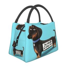 Sacs Kawaii Dckhund isolate Lunch Tote Sac pour Wiener Badger Saucisse Dog Résultat Color Thermal Food Box Box Hospital Office