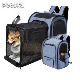 Sacs Pet Saclepack Extensible Cat Plimable Cat Carrier pour petit chien de chien et de chats de chat Sac de chien grand espace Porte-Zipper avec fermeture éclair