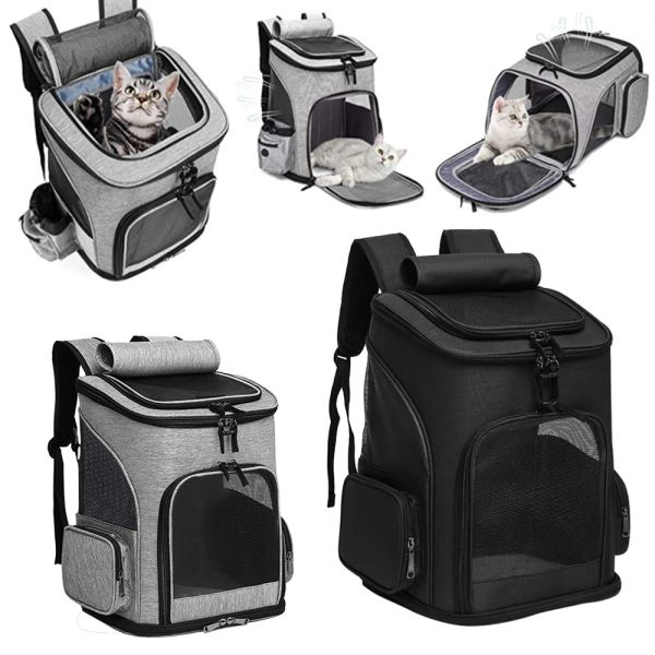 Sacs Pet Transporteur sac à dos extensible Cat Sac à dos pour chiens moyens de chats Bagure de porte-chiens Voyant Sac de transport animal respirant