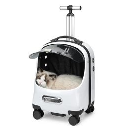 Tassen huisdier kattenzak transparant ademende draagtas trolley rugzak ruimtecapsule kat drager multifunctionele huisdierenzak