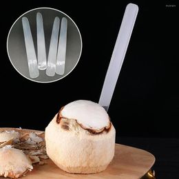 Outils de cuisson Creuser Outil De Noix De Coco Enlèvement D'ouvreur En Plastique Coupe-Rasage Lavable Avec Manche En Bois Ménage