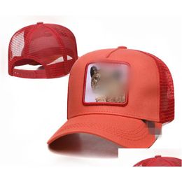 Gorras de bola 2023 Top de lujo bordado de alta calidad gorra de béisbol hombres golf snapback diseñador moda mujer estilo animal sombrero h163.1 dro dhyka