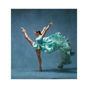 Balletdanser Misty Copeland schilderij Poster Print Home Decor ingelijst of ingelijste Popaper Material2024