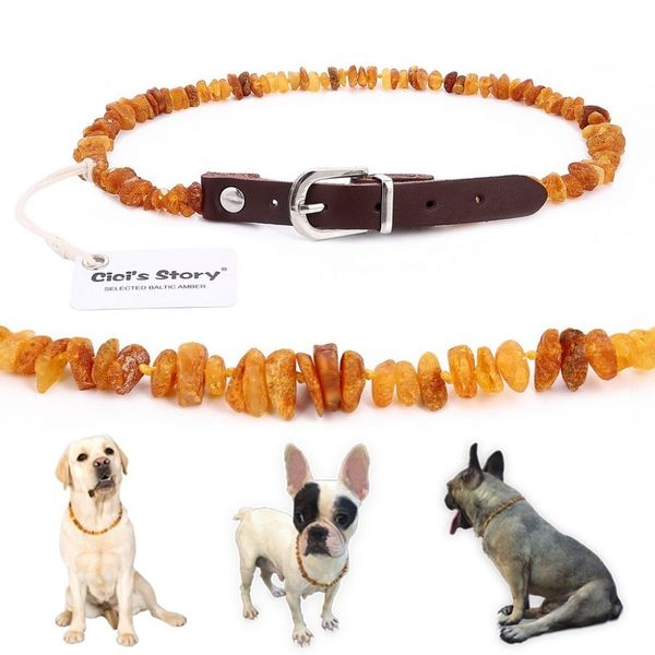 Collier anti-puces et anti-tiques Baltic Amber avec sangle en cuir réglable pour chiens chats testé en laboratoire 220722