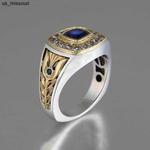 Bandringen Luxe 925 Ring voor mannen Natural 2 Sapphire With Diamond Jewelry Anillos de Bizuteria Anillos edelsteen ringen doos J230522