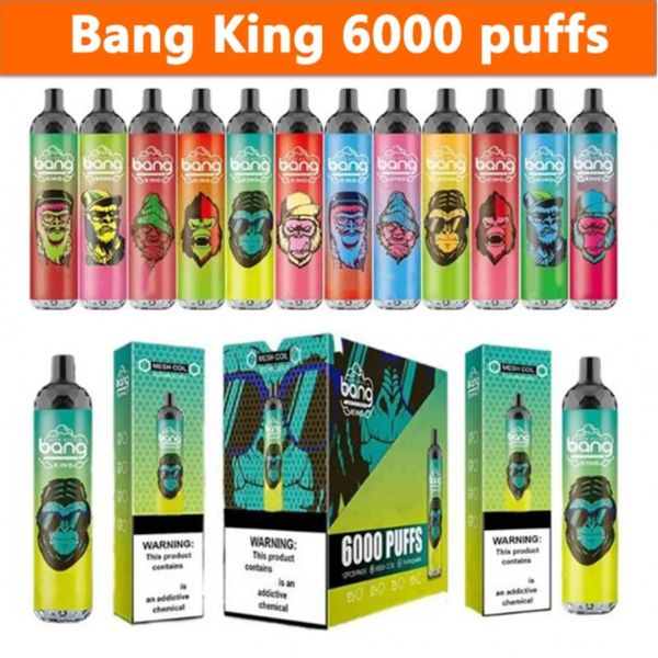 Original Bang King 6000 Puffs Bobine de maille de vape jetable rechargeable 0/2/3/5% 850mAh Batterie pré-remplie 14ml Pods Cartouches E Cigarettes Stylo Dispositif 24 Saveurs