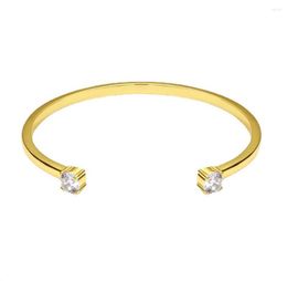 Bangle 18K Real Gold Ploated Double Sparkle Cubic Zirconia manchet chique armband voor vrouwen