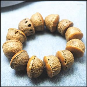 Bracelet 1 PC Naturel Bodhi Bracelets En Bois Graines De Plantes Puissante Nature Perles Hommes Pour Votre Fête