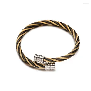 Bracelet en acier inoxydable 316L simplicité couleur mixte élasticité ouverture bracelet dames mode tendance haute bijoux accessoires cadeau de fête