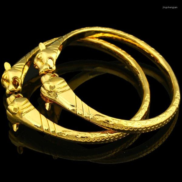 Bangle Adixyn 2pcs / Lot Dubaï Dragon Bracles pour femmes Bracelet de couleur dorée des hommes