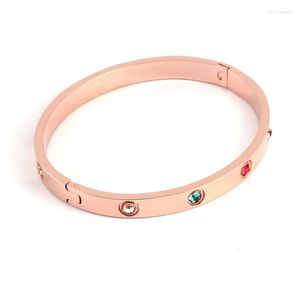 Bangle aankomst 316 roestvrijstalen roségoud kleurrijke kristallen veerarmbanden nikkel gratis sieraden voor vrouwencadeau