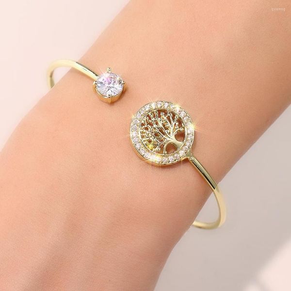 Bracelet Arrivée Bracelet Pour Femmes Charme Simplicité Style Captiver Curseur Brillant CZ Or/Or Rose Couleur Fine Jewelry