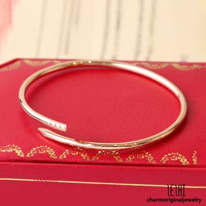 Dunne nagelarmbandontwerper voor vrouw Bangle armband 18k gouden nagelarmbandontwerper Silver Designer sieraden Gold Bangle voor vrouw klein modelbelofte armbanden