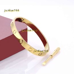 Bracelet bracelet bijoux or Bracelets titane acier argent pour femmes hommes cadeau de fête 15-22 cm