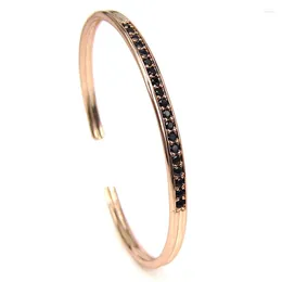 Bracelet marque hommes Anil Arjanda Bracelets couleur or Rose manchette ouverte pour les femmes aimant Bracelets Pulseiras