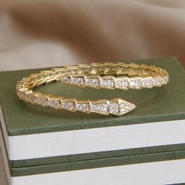 Bracelet classique serpent cristal ouvert bracelets pour femme marque de mode bijoux style punk animal gros bracelets 231021
