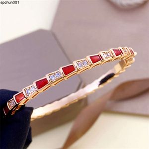 Bracelet Designer Bracelet Bijoux Femme Or Rose Sier Rouge Vert Agate Serpent Diamant Bracelets Bijoux Designers Fille Lady Paty Cadeau D'anniversaire s {catégorie}