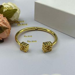 Brazalete de diseñador Pulsera Loews Joyería de lujo Accesorios superiores Pulseras frescas 2024 Plata Hip Hop Placa Ágata Moda Cadena de encanto para mujeres Joyería Regalo de Navidad