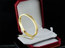 Bangle Designer Jewelry Gold Bracelet Bangle Luxe Fashion Acero inoxidable Sier Rose Arff 4cz Diamond For Woman Man Party Bangles Wit