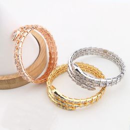 Bangle Designer Style Dames Lady Plated Gold Kleurinstellingen Volledige Kubieke Zirkoon Slang Slangachtige Elastische Dubbele Cirkel Bangle Armband