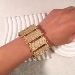 Bangle Europese en Amerikaanse onregelmatige metalen armbanden voor vrouwen Party Hoge kwaliteit mode elastische legering brede armbanden sieraden