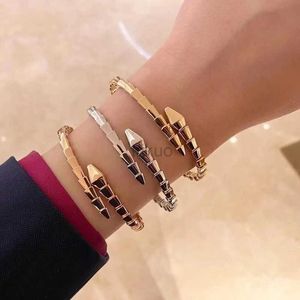 Bangle European Nieuwe Hot Sale 925 Sterling Silver Spring Snake Bot Snake Heak Hoofd Bracelet Ladies Mode Brand Luxe cadeau 24411