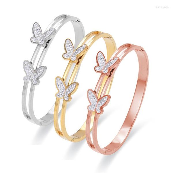 Bracelet à la mode en cristal Double papillon, couleur or Rose, cadeau d'anniversaire pour femmes, bijoux en acier titane, ne se décolore pas, goutte