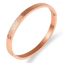 Bangle Fashion Design Charm Bracelet Titanium Rose Armband voor vrouwen Pulseiras Statement Sieraden Kaar trouwcadeau