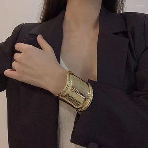 Bangle Fashion Metal Punk Bracelet Hip Hop Simple Persoonlijkheidsontwerp Vrouwen Dikke Gold Silver Sieraden Accessoires Geschenk voor mijn Girlfried