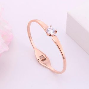 Bangle mode enkele diamant armband vrouwen roestvrij staal gepersonaliseerde geëlektropleerde rosé goud ornamentarmbanden voor