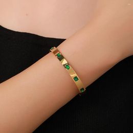 Bracelets en zircon vert en acier inoxydable en acier inoxydable en acier inoxydable pour wom an personnalité Bracelet Bijoux cadeau charme