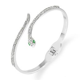 Bracelet FYSARA Serpent Yeux Verts Bracelets Bracelets CZ Fermoir D'été Bracelet En Acier Inoxydable pour Femmes Bijoux Accessoires 231009