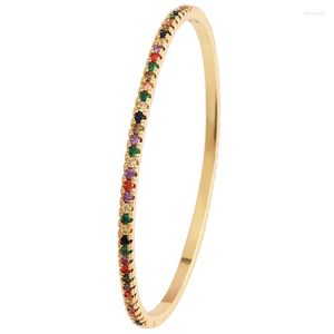 Bracelet plaqué or arc-en-ciel coloré Cz Bracelet mince pour les femmes Mini couleur Bling Baguette cubique zircone bijoux de mode