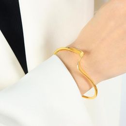 Bracelet HAILANG Courbe Ouverture Bracelet De Mode Design Original Élégant Ins Style All-Match Matériau En Laiton