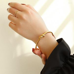Bangle knoop dikke en dunne draad open titanium stalen rosé goud armband vergulde niet-fading metaal Europeaan