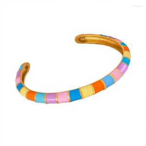 Bangle Koreaanse schattige damesarmband Macaron kleur persoonlijkheid sieraden glanzend titanium staal meisjes vriendinnen