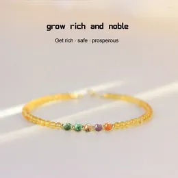 Bangle Lucky Citrine Rijkdom Attractie Bracelet Prosperity sieraden geschenken