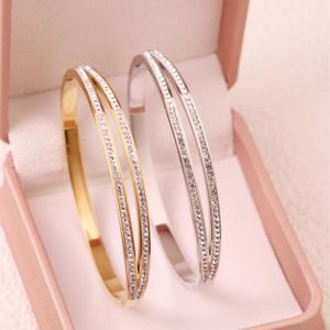 Bracelet de luxe incrusté de diamants à double rangée en zircon pour femme, simple, mode, usage quotidien