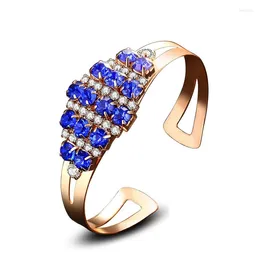 Bangle luxe dames blauw kristallen armband sieraden rozengouden punk ronde zirkoon bruiloft ketting ketting cadeau