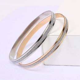 Bangle Matte Bangles Mode Dubbele Ring Armband Vrouwelijke Metalen Armband Mode Koreaanse Sieraden Groothandel - Een Enkele Prijs 231020