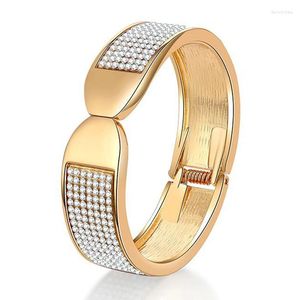 Bracelet cristallin bracelet or ou argent couleur alliage déclaration bracele de bracele