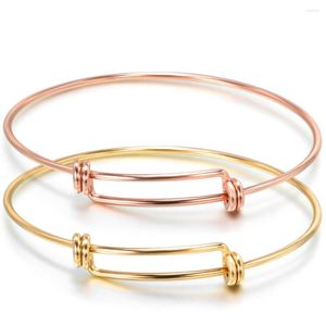 Bangle Rose Gold kleur mode sieraden bedradingsarmband voor ani geluk uitbreidbare armbanden armbanden diy charme