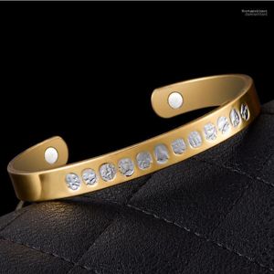 Bangle Sangsy Chinese Zodiac Unisex magnetische armband Koper Energy gezonde armbanden Fitness Fashion Jewelry1